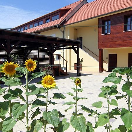 Hotel Pod Sluncem Trebiz Luaran gambar